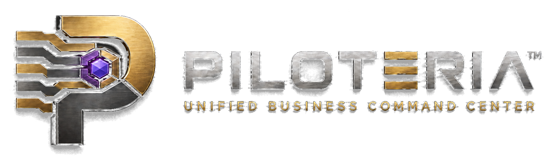 Piloteria - Your Business Command Center